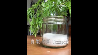 #Shorts 自製印尼發酵食品- 天貝 Tempeh | 一天一分鐘 Day 27