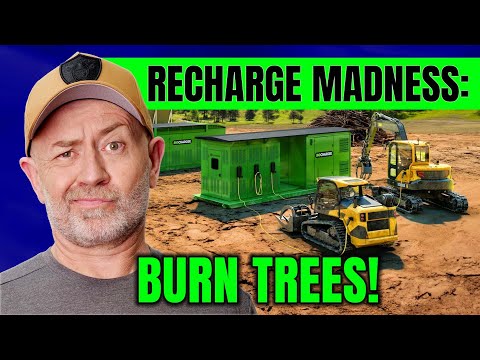 Burn trees to recharge EVs (latest net zero insanity) | Auto Expert John Cadogan