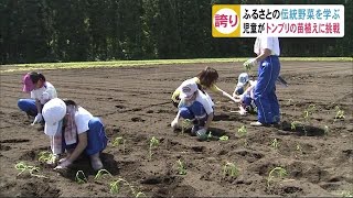 畑のキャビア！苗植えに地域の小学生が挑戦！秋田・大館市 (19/06/20 19:00)