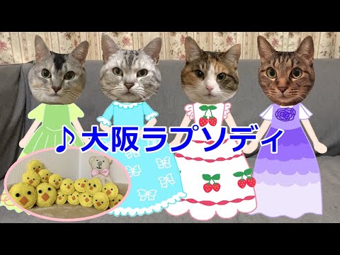 アカペラで歌う大阪ラプソディ♪猫のおしゃべりペット