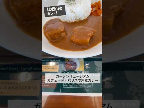 山のカレー(ガーデンミュージアム比叡 角煮カレー) #shorts #グルメ #飯テロ #角煮