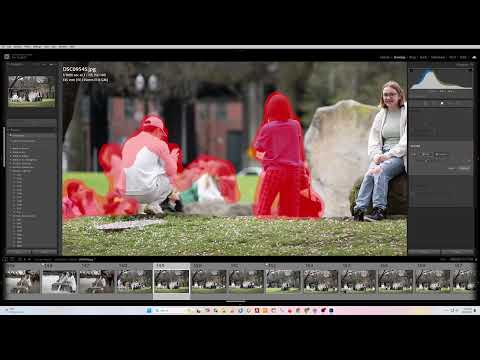 How to Use Generative Remove - Lightroom Classic