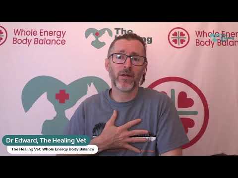 Helping Your Pets with The Healing Vet - Respect + Connection