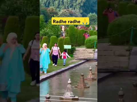 Radhe 🙏🥰 Radhe Radhe ❤️❤️#radhakrishna #vairalvideo #youtubeshorts