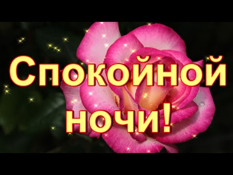 СПОКОЙНОЙ НОЧИ! СЛАДКИХ СНОВ! ПУСТЬ НЕЖНОЙ БУДЕТ НОЧЬ И БЕЗМЯТЕЖНОЙ!!!