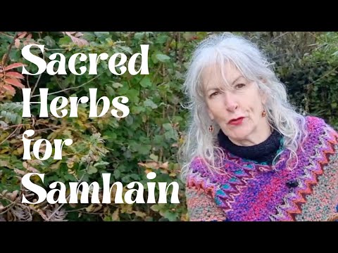 Sacred Herbs for Samhain