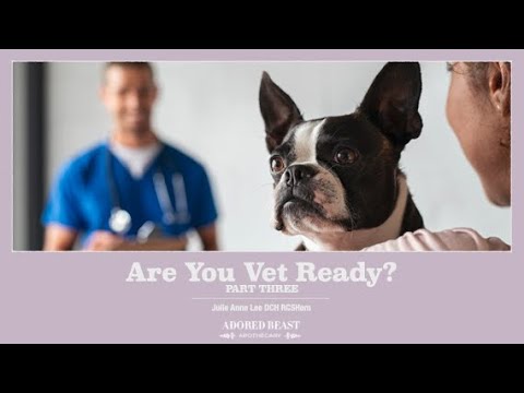 Are You Vet Ready Webinar: Part THREE presented by Julie Anne Lee DCH