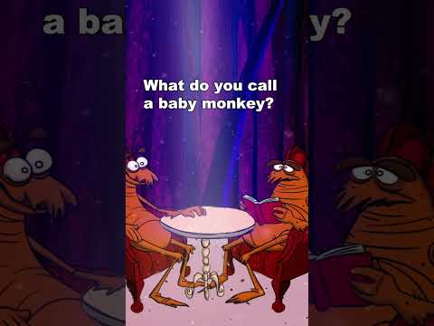 What do you call a baby monkey?