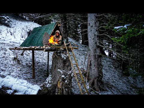 Building a complete WINTER SHELTER on a old TREE STUMP in harsh conditions!