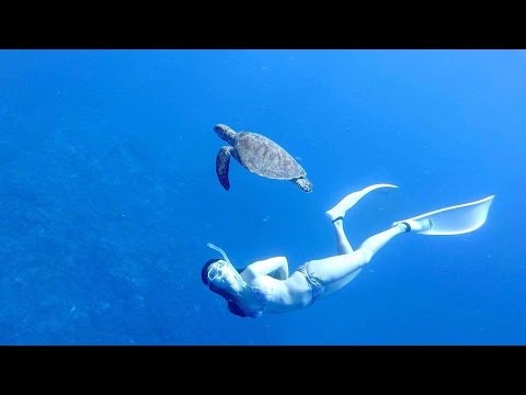 Freediving - Corals & Turtles! October 2016, Kerama