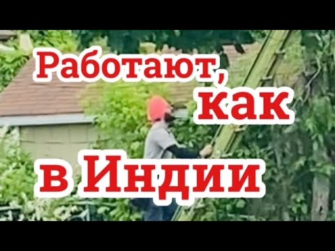 Индийские работники на проводах. Гроза в дороге застала. Индийский ресторан