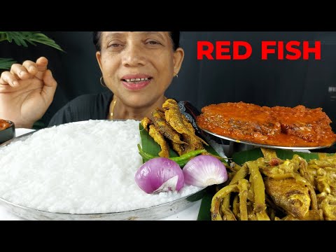 ASMR RED FISH CURRY EATING WITH WATERY RICE FOOD EATING SHOW