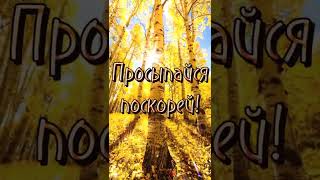 Доброе утро! 🌺 Воскресенье 6 Ноября! 🌹 Красивая Музыкальная Видео Открытка