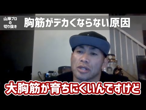 【胸筋がデカくならない原因】日本人唯一ミスターオリンピアに出場した、IFBBプロ・ボディビルダー山岸プロが解説！（How to build chest muscle）#山岸秀匡 #胸筋 #筋トレ