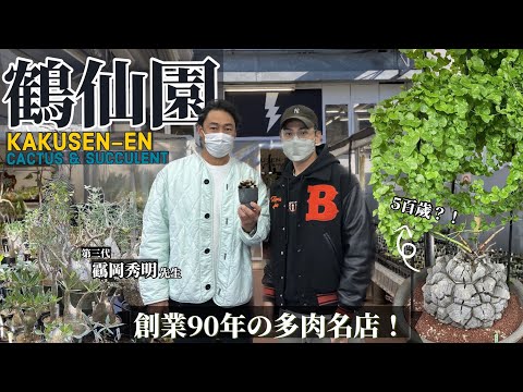 朝聖日本多肉名店🔥 擁有萬顆仙人掌溫室！超巨大精品龜甲龍！設置於百貨公司上?! 超好逛竟然還可退稅！開業近百年の多肉專賣店！鶴仙園 池袋西武店【東京探店Ep05】