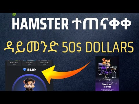 Hamster kombat | How To Withdraw Hamster Kombat