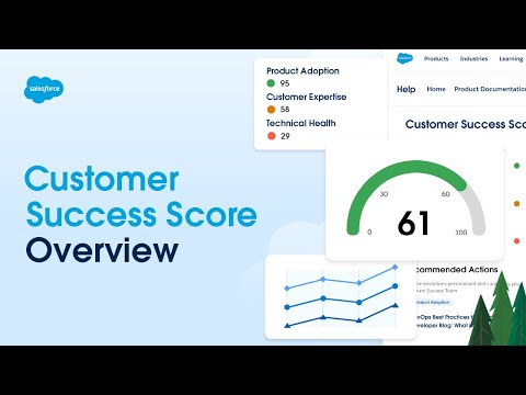 Customer Success Score Overview