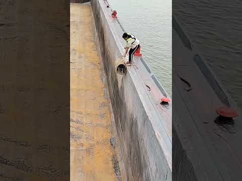 Este perro quedó atrapado en una piscina gigante 😮