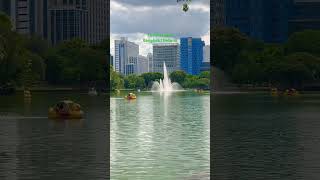 #nature #lumpinipark #bangkokthailand #travel #bangkoktoday #bangkoktravel #views #shortvideo