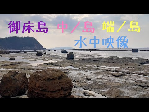 SUPサンポ 御床島 中ノ島 端ノ島 水中映像