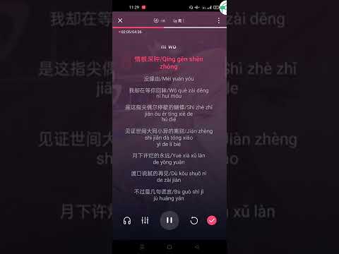 Ly - Ngải Thần || 离 [艾辰] Karaoke Pinyin