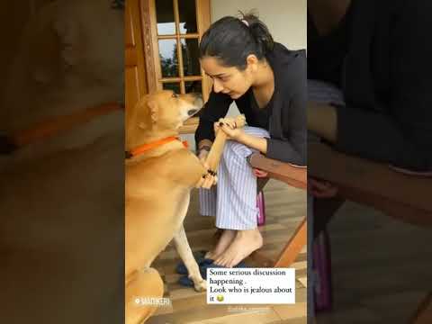 Funny Moments 🤣 | Ashika Ranganath ❤️ | At Madikeri | #shorts #ashikarangnath #ashikaranganath #ig