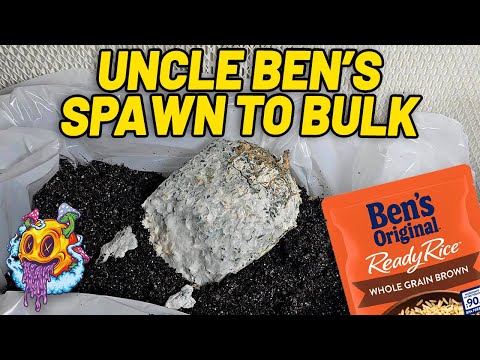 Uncle Ben's Tek Spawn To Bulk - Uncle Ben's Tek S4 EP2