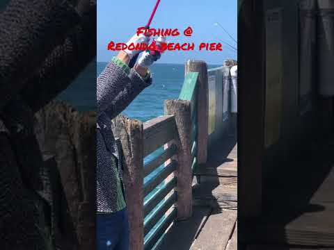 Fishing | Redondo Beach Pier I #fishing #redondo #california #beach -#filbeautyinusa