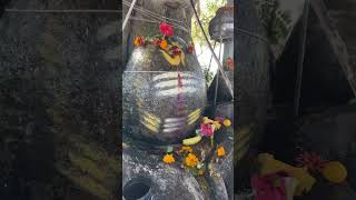 Har Har Mahadev Status #mahadevstatus #shivbhaktmahadev #shivjistatus #hindudeity #harharmahadev