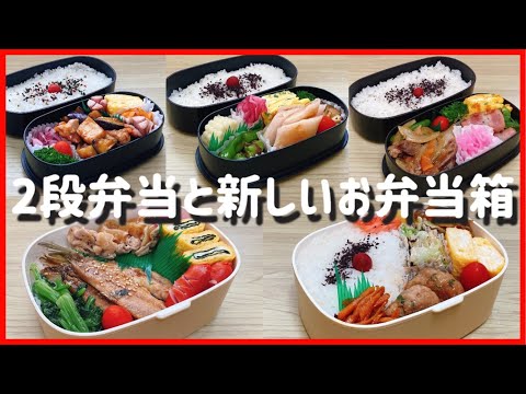 【1週間のお弁当作り】先週のお弁当作り【2段弁当と新しい1段弁当900㎖】