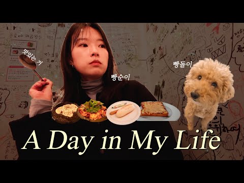 (vlog) 빵순이 다이어터와 빵돌이 일상 | 밥 먹고 일하고 밥 먹고 일하는 잔잔한 일상 | 관종은 우울할 때 블로그를 해 | 공구 준비 | 미리 메리크리스마스🐶🎄