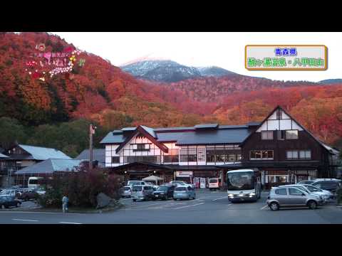 【酸ヶ湯温泉】行こう八甲田(1585m)／ご当地観光課のいいね！vol.12（青森市）