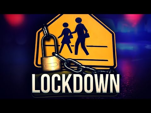 Tucker Carlson - Lockdown Proclamations: A Pretext for Social Control