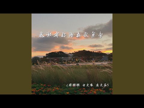 感谢有你陪在我身旁 (Live)