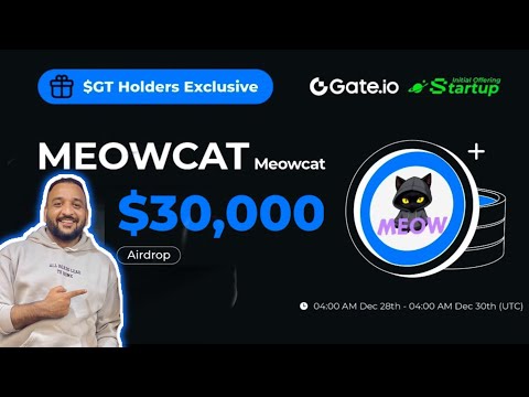 “Meowcat Startup Project on Gate.io: A New Era in Crypto Innovation”