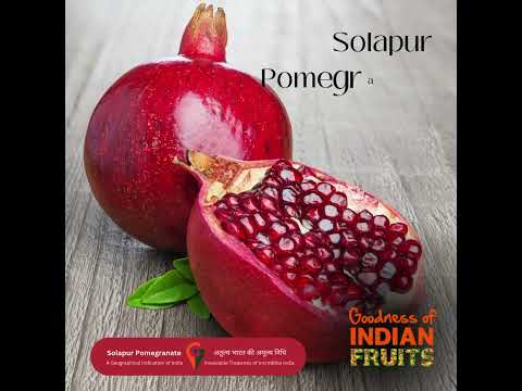 Solapur Pomegranate | Indian Fruits