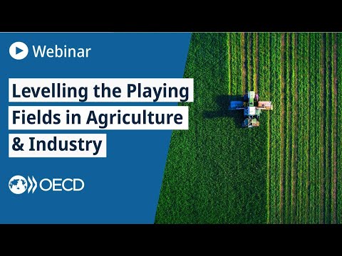 Levelling the Playing Fields in Agriculture & Industry – Latin America & the Caribbean