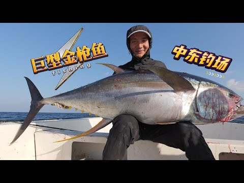 Spend 1500USD to fish for tuna, and the catch can be used to cover the shipping fee. Do you like？