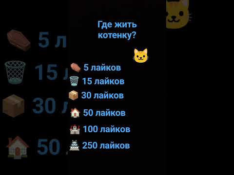 Где жить котенку?