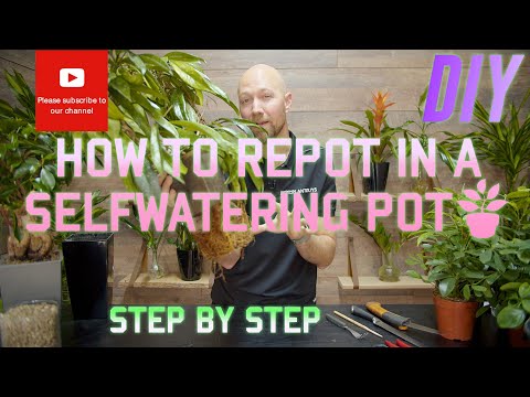 How to repot in a self watering pot 🪴 DIY