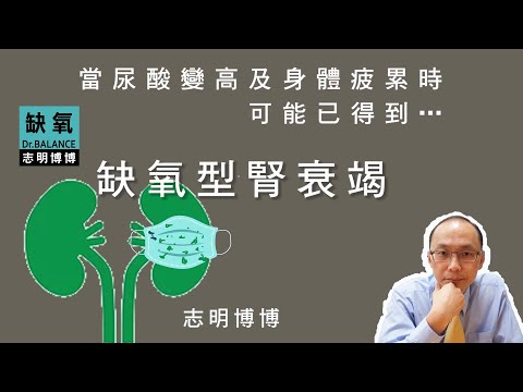 【志明博博】尿酸及血壓都偏高是缺氧型腎臟衰竭初期的共同現象，代表腎絲球因為慢性缺氧，而開始釋放剪刀功能的纖維蛋白酶MMP，破壞腎絲球過濾膜及足細胞…