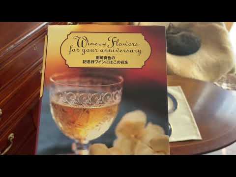 12月2日のワイン🍷はテュヌヴァン カルヴェ キュヴェ コンスタンスとNew York　perfect　cheese