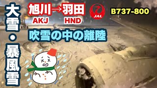 【こんな大雪で離陸出来るの？】　大雪注意報発令中　旭川空港からの離陸　JAL558便　旭川→羽田　最終便　B737-800