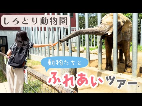 自由すぎる動物園でエサあげまくった結果・・・！【しろとり動物園・香川県東かがわ市】