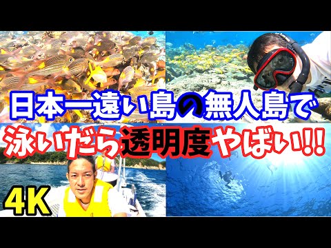 小笠原諸島でシュノーケリング、母島の無人島で海遊び、スキンダイビングで撮影した癒し動画4K