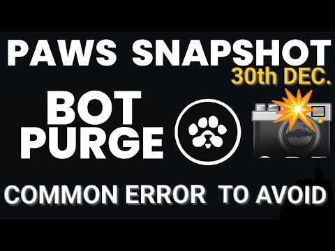 PAWS SNAPSHOT UPDATE 📸 | BOT PURGE | COMMON ERRORS TO AVOID | DON'T LOSE YOUR PAWS