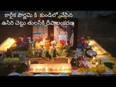 karthika pournami decoration/indian gooseberry plant puja decoration/usiri chettu puja decoration