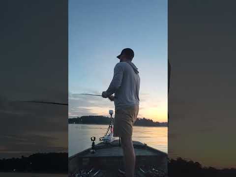 Lake Wateree Bass Fishing 7-9-23