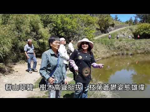 東勢大雪山一日遊