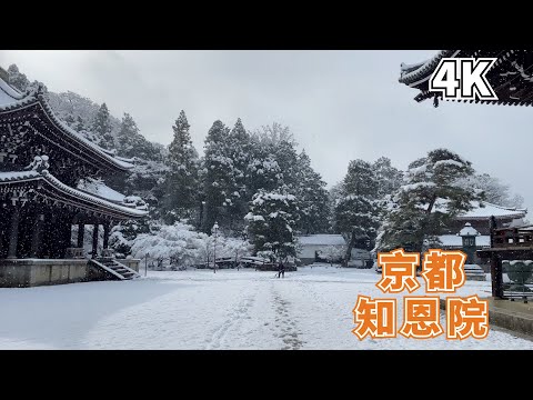 【Kyoto 4K】An ancient building with a history of thousands of years, a national treasure of Japan